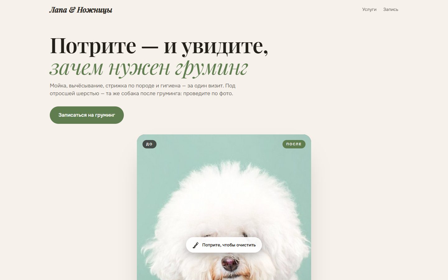 Скриншот сайта: Груминг «Лапа & Ножницы»